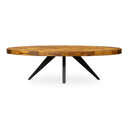 Parq - Oval Coffee Table - Brown - Moe's Home Collection - Coffee Tables - Elite Enclave Home
