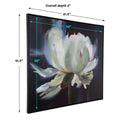 Peony - Framed Floral Art - Black - Uttermost - Wall Decor- Elite Enclave Home