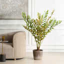 Uttermost Zamia Palm Accent Plant - lush green foliage in rustic concrete planter