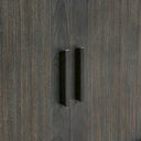 Drury - 2 Door Cabinet - Dark Gray