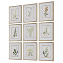 Botanical Flowers - Framed Prints (Set of 9)