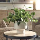 Essence Eucalyptus - Accent & Vase - Green / White - Uttermost - Plants - Elite Enclave Home