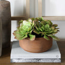Sable Succulent - Accent In Pot - Brown / Green - Uttermost - Plants - Elite Enclave Home