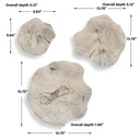 Teo - Wall Decor (Set of 3)