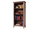 Antique - Bookcase - Multicolor