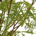 Woodland Fern - Centerpiece - Green