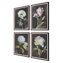 Florals On Black - Framed Prints (Set of 4) - Black - Uttermost - Framed Print Sets- Elite Enclave Home