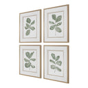 Fiddle Head - Leaf Botanical Prints (Set of 4) - Gold / Green / White - Uttermost - Framed Print Sets- Elite Enclave Home