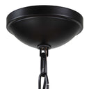 Lakeside - Indoor-Outdoor 1 Light Pendant - Black