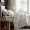 King/California King 100% Shell Comforter - White - Harbor House - Comforters & Sets - Elite Enclave Home
