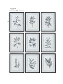 Farmhouse Florals - Framed Prints (Set of 9) - Black