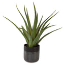Uttermost Tucson Aloe Planter – Black ceramic pot with textured matte & gloss glazes, preserved aloe and moss accent 