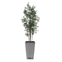 Sonora Olive - Tree In Planter - Gray / Green - Uttermost - Plants - Elite Enclave Home