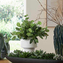 Essence Eucalyptus - Accent & Vase - Green / White - Uttermost - Plants - Elite Enclave Home