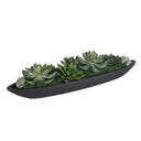 Verde - Succulent Centerpiece In Bowl - Black / Green - Uttermost - Plants - Elite Enclave Home