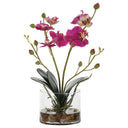Glory Orchid - Fuchsia Orchid - Pearl Silver