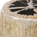 Arco - Petrified Wood Top Accent Table - Black / White - Uttermost - Accent Tables - Elite Enclave Home