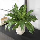 Verdure Fern - In Glazed Pot - White