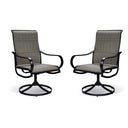 Steel Indoor Outdoor Dining Chair (Set of 2) - Gray And Black