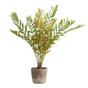 Uttermost Zamia Palm Accent Plant - lush green foliage in rustic concrete planter