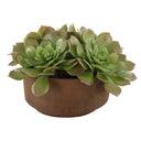 Sable Succulent - Accent In Pot - Brown / Green - Uttermost - Plants - Elite Enclave Home