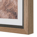 Big Horn - Sheep Framed Print - Black / Brown / White