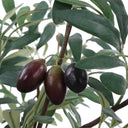 Marisol - Potted Olive Plant - Gray / Green - Uttermost - Plants - Elite Enclave Home