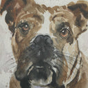 Dog Days - Framed Prints (Set of 4) - Black / Blue / Brown / Gray / Orange / White - Uttermost - Framed Print Sets - Elite Enclave Home