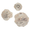 Teo - Wall Decor (Set of 3) - Uttermost - Wall Decor - Elite Enclave Home