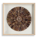 Tiger Sea Urchin - Shadow Box - Brown