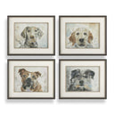 Dog Days - Framed Prints (Set of 4) - Black / Blue / Brown / Gray / Orange / White - Uttermost - Framed Print Sets - Elite Enclave Home