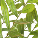 Uttermost Zamia Palm Accent Plant - lush green foliage in rustic concrete planter