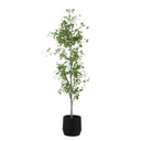 Boreal - Potted Birch Tree - Gray / Green - Uttermost - Plants - Elite Enclave Home