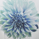 Norah - Printed Floral Shower Curtain - Aqua - Madison Park - Shower Curtains - Elite Enclave Home