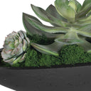 Verde - Succulent Centerpiece In Bowl - Black / Green - Uttermost - Plants - Elite Enclave Home