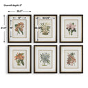 Orchid - Botanical Framed Prints (Set of 6) - Black / Blue / Gold / Green / Orange / Pink / Purple / Red