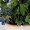 Blueberry Fields - Accent - Pearl Silver