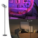 Color Changing LED Rotating Head Floor Lamp - Black - HomeRoots - Floor Lamps - Elite Enclave Home