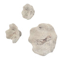 Teo - Wall Decor (Set of 3) - Uttermost - Wall Decor - Elite Enclave Home
