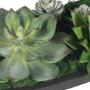 Verde - Succulent Centerpiece In Bowl - Black / Green - Uttermost - Plants - Elite Enclave Home