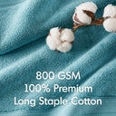 800GSM - 2 Piece Set Bath Sheet Antimicrobial - Aqua - Madison Park Signature - Towel Sets - Elite Enclave Home