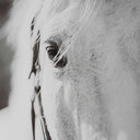 Eyes On The Prize - Framed Print - White