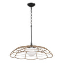 Lakeside - Indoor-Outdoor 1 Light Pendant - Black