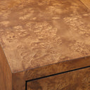 Jethro - Burl 2 Door Cabinet - Woodtone