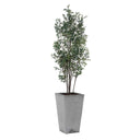 Sonora Olive - Tree In Planter - Gray / Green - Uttermost - Plants - Elite Enclave Home