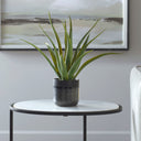 Uttermost Tucson Aloe Planter – Black ceramic pot with textured matte & gloss glazes, preserved aloe and moss accent 