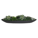 Verde - Succulent Centerpiece In Bowl - Black / Green - Uttermost - Plants - Elite Enclave Home
