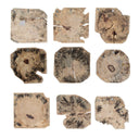 Bahati - Wood Bleached Wall Decor (Set of 9) - Brown - Uttermost - Wall Decor - Elite Enclave Home