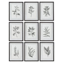Farmhouse Florals - Framed Prints (Set of 9) - Black