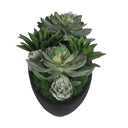 Verde - Succulent Centerpiece In Bowl - Black / Green - Uttermost - Plants - Elite Enclave Home